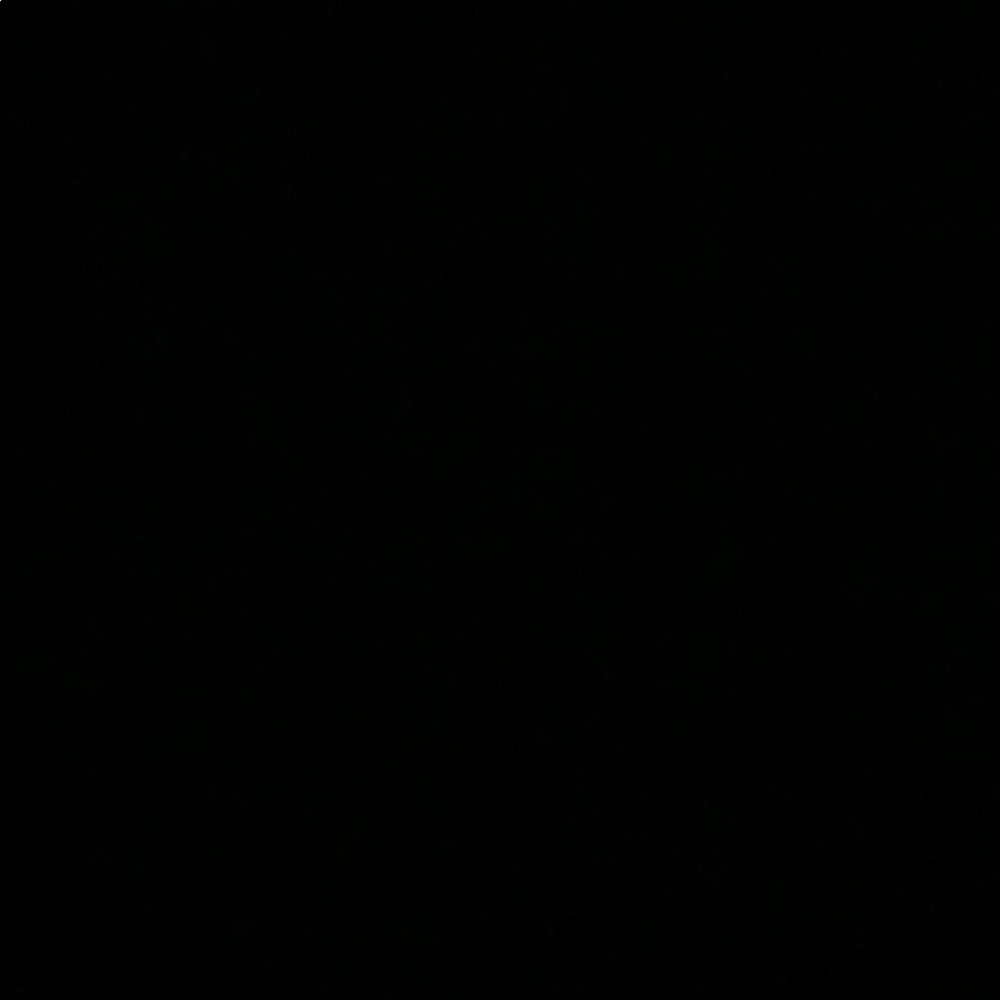 Meet your Posher, Anastin